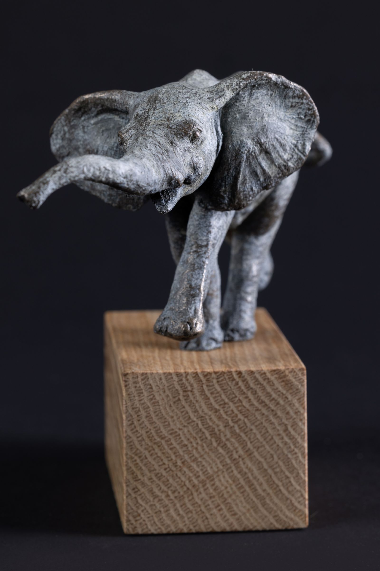 Elephant Calf I by Andrew Sinclair
