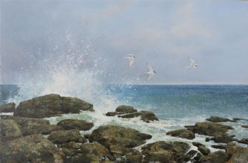 Sparkling Shores - Common Terns by Neil Cox