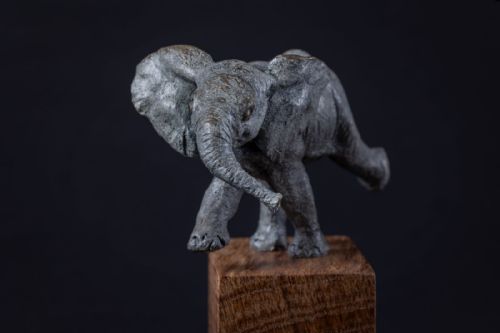 Andrew Sinclair - Elephant Calf II