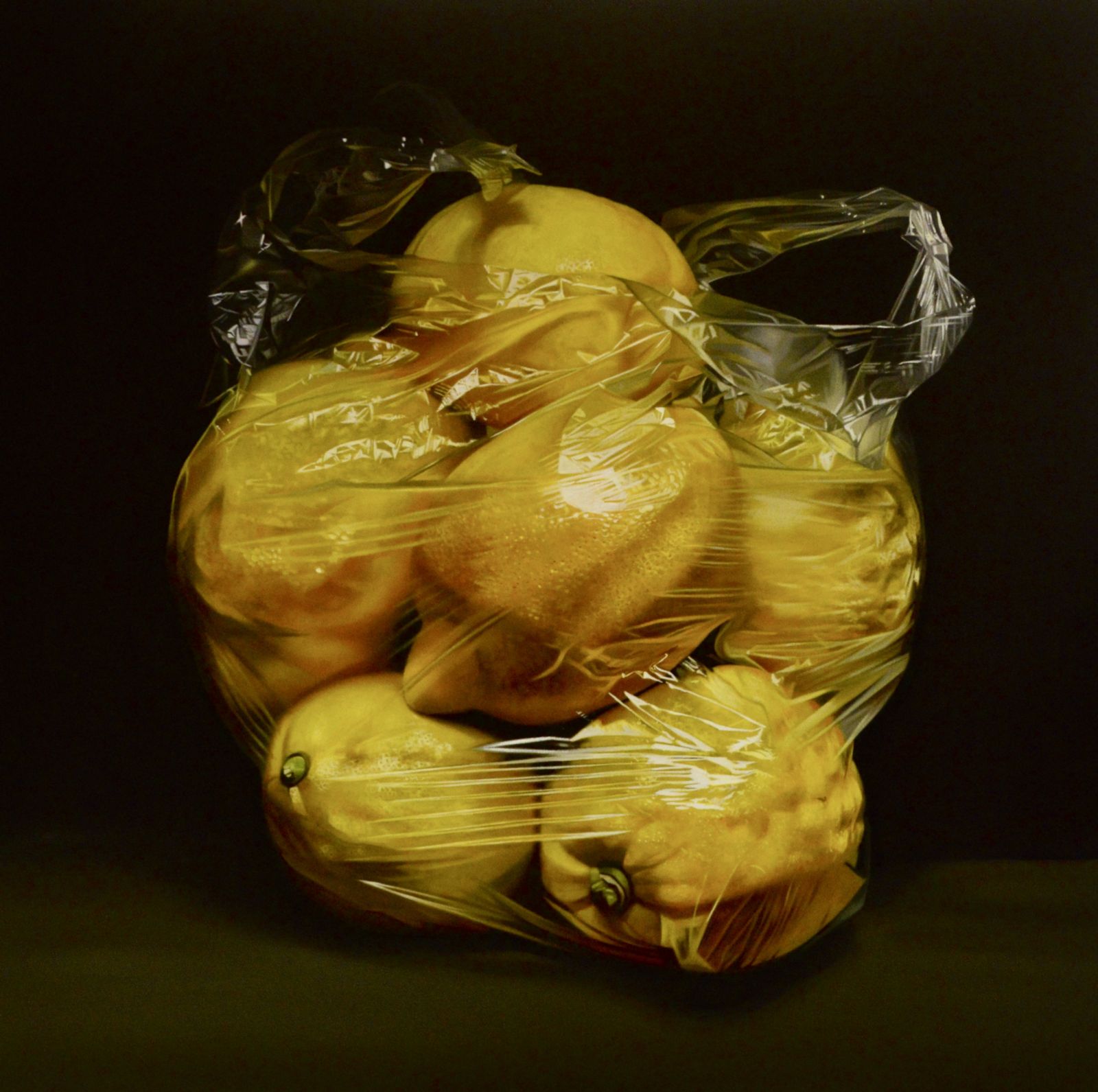 Bagged Lemons by Paul Stone