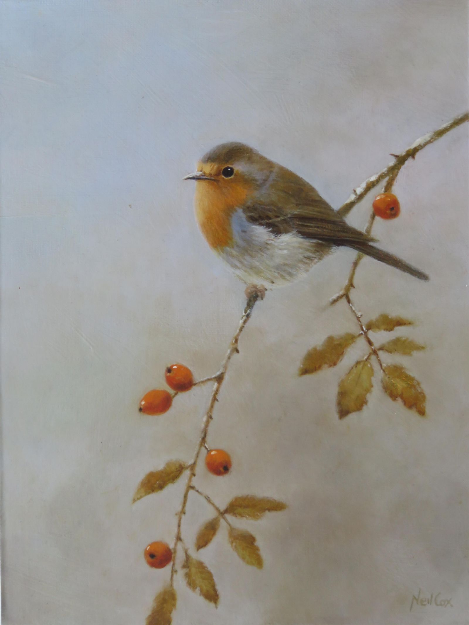 Autumn Robin with Rosehips by Neil Cox
