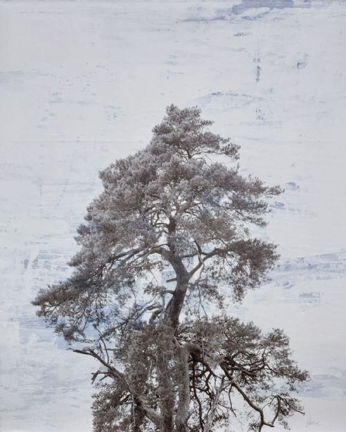 Deborah Schenck - Delamore Tree