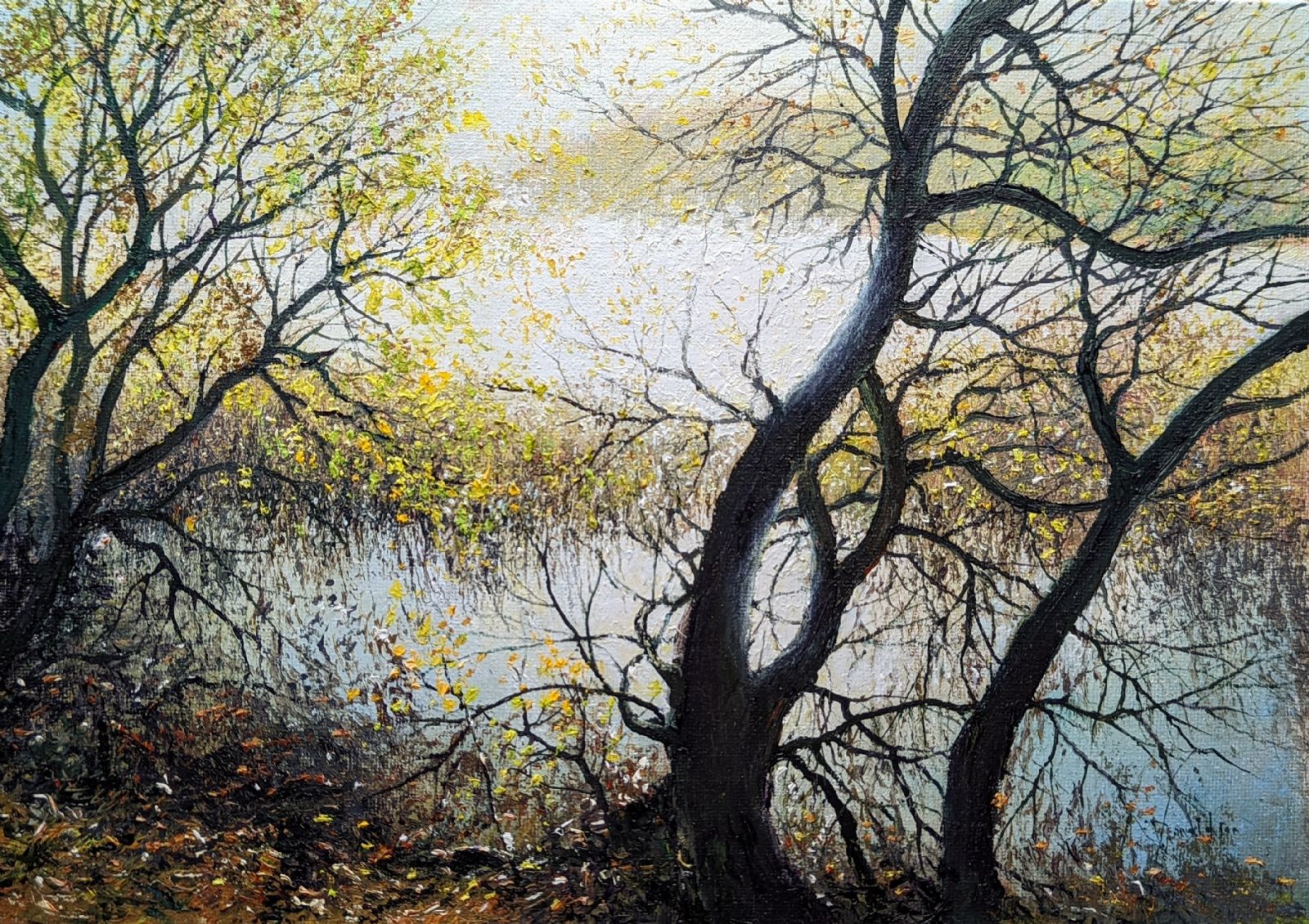 Lagoon Beams by John Donaldson