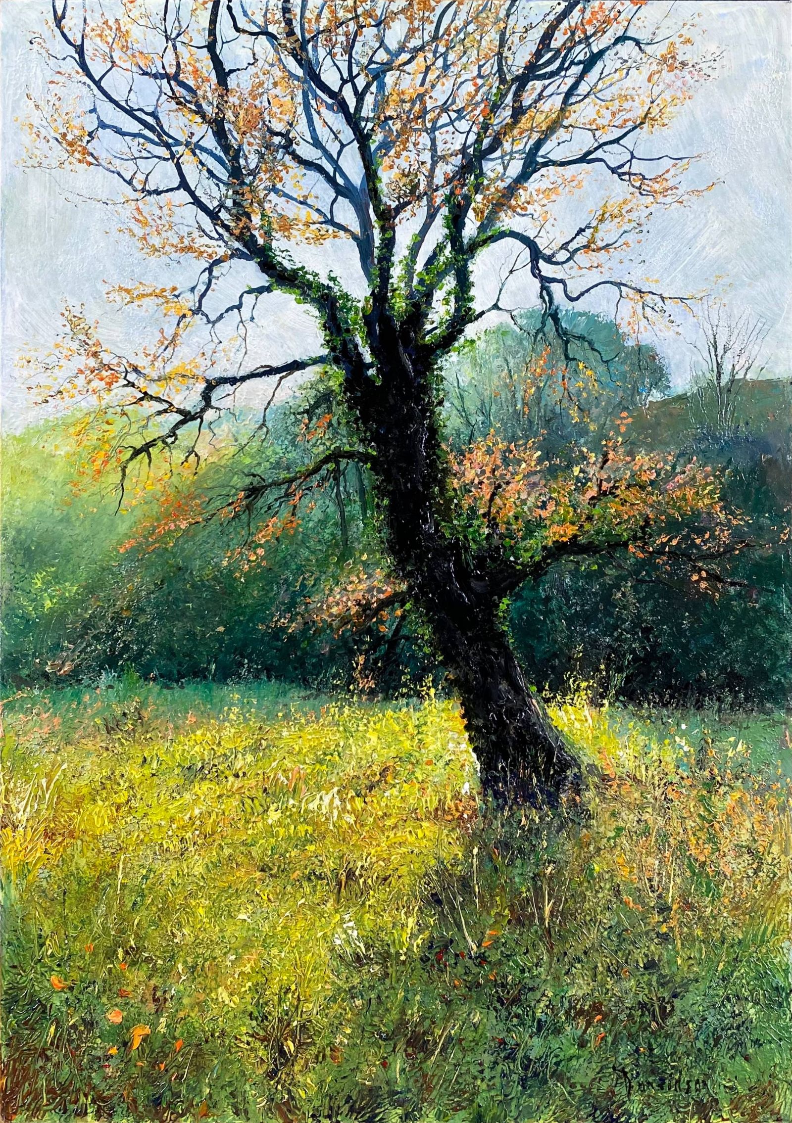 Washwalk Oak in Autumn, Gara Valley by John Donaldson
