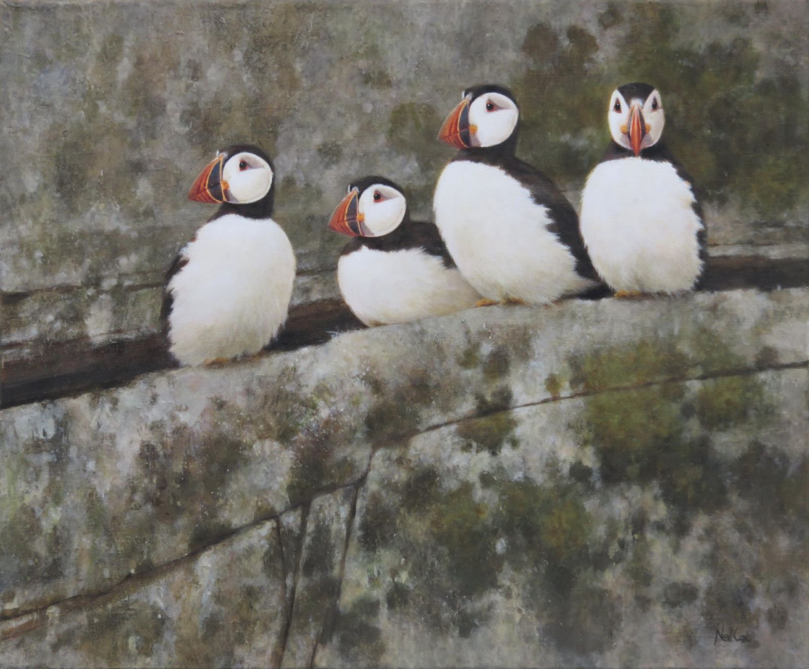Highlife, Puffins by Neil Cox