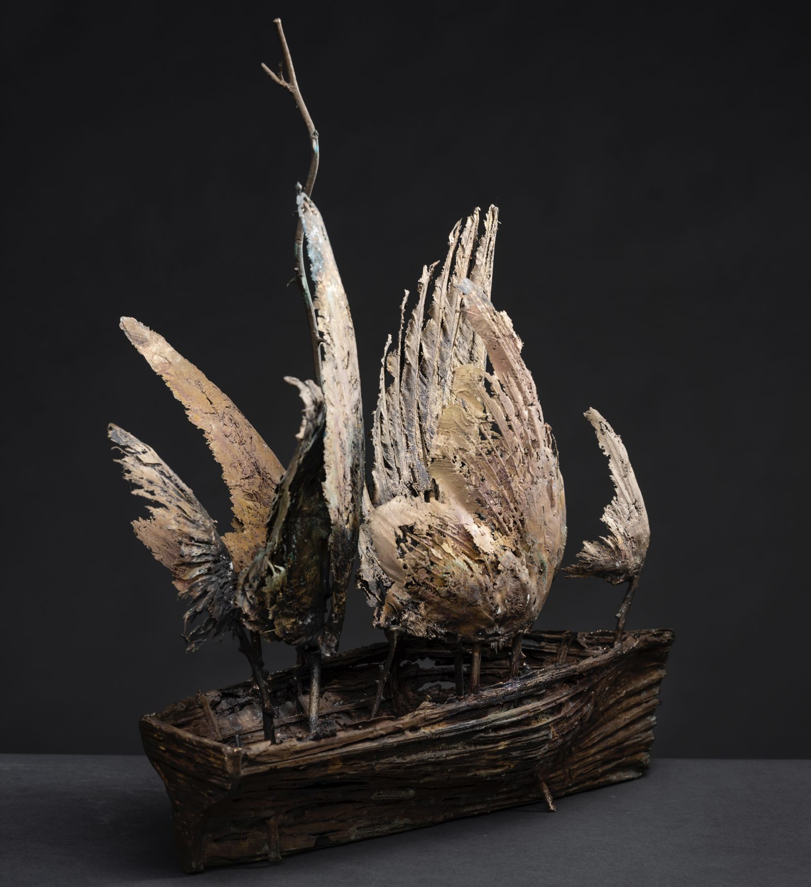 Boat with Wings by Robyn Neild