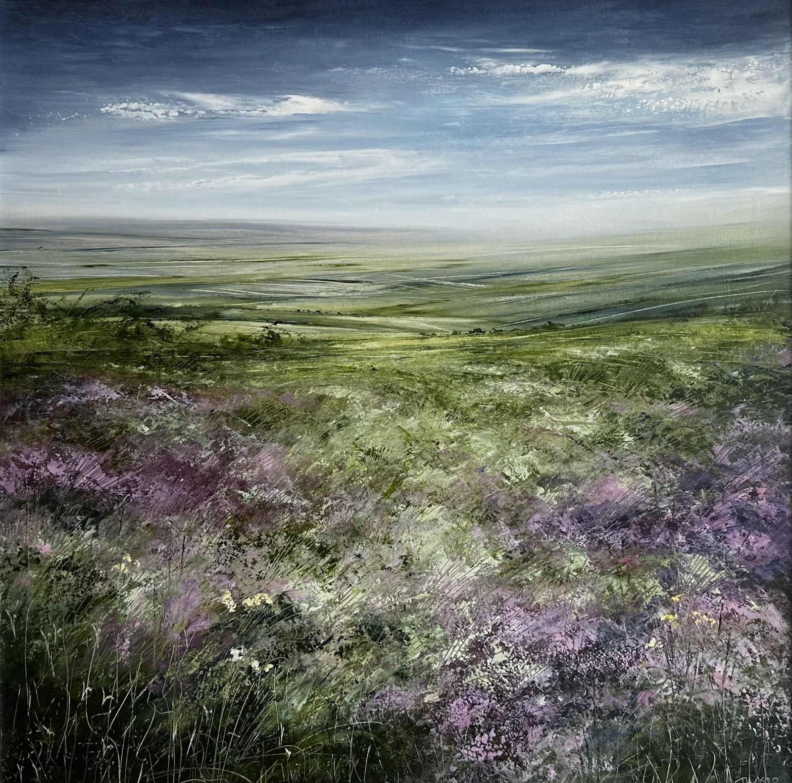Moorland Colours by Tess  Armitage