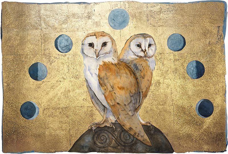 The Owl Moon by Jackie  Morris