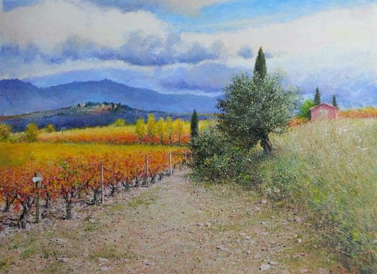 Autumn Vine of Montclar  by John Donaldson