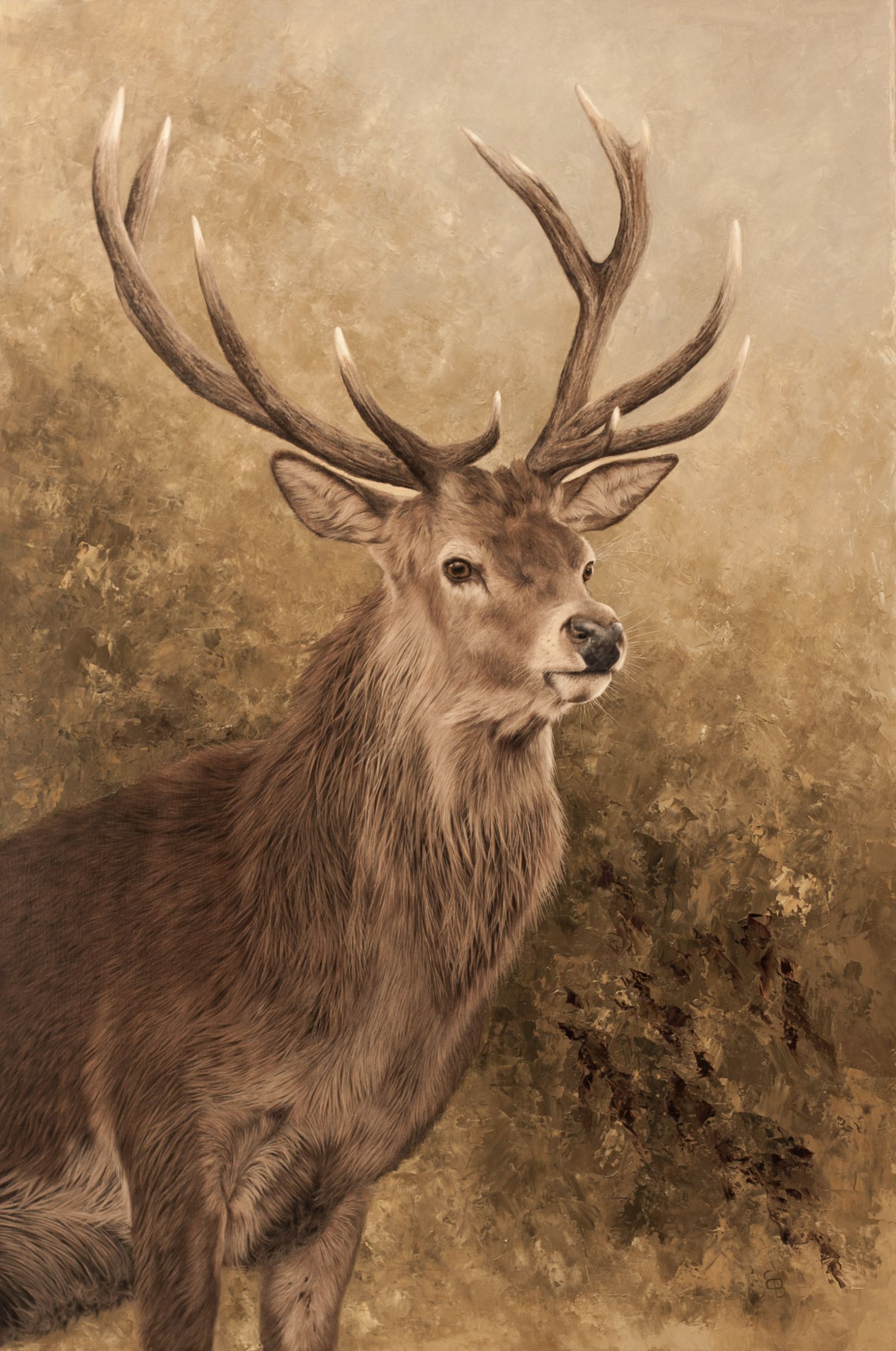 Moorland Nobility by Emma Bowring