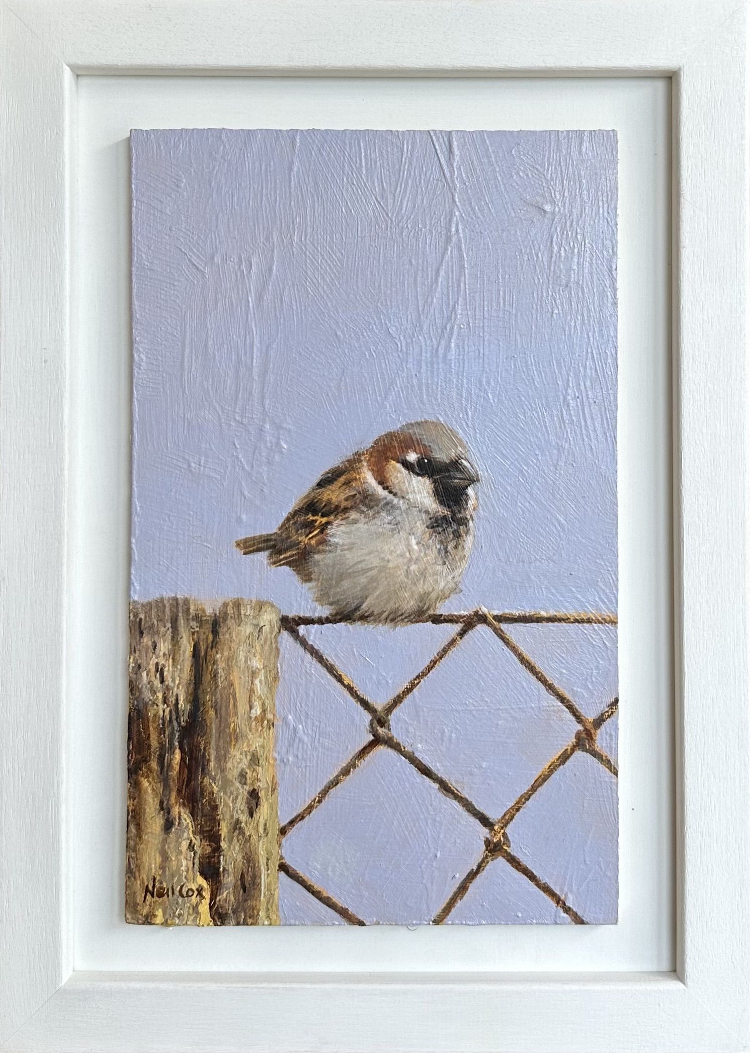 Sparrow by Neil Cox