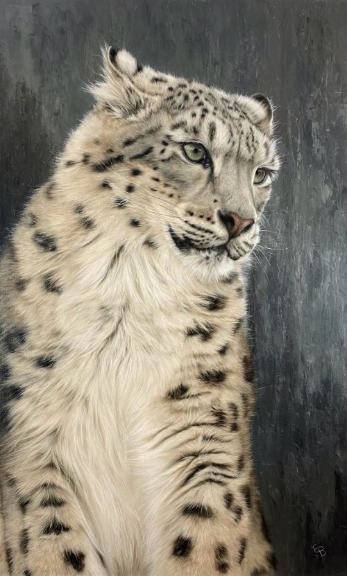 Emma Bowring - Snow Leopard