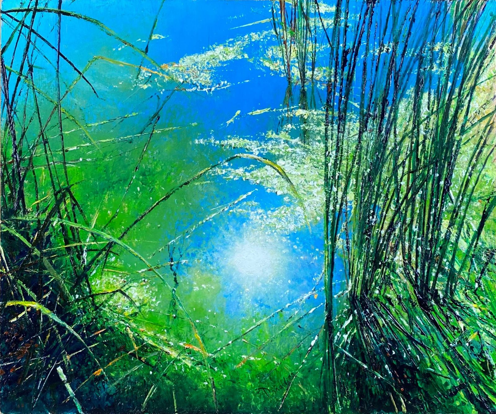 Blue Lagoon by John Donaldson