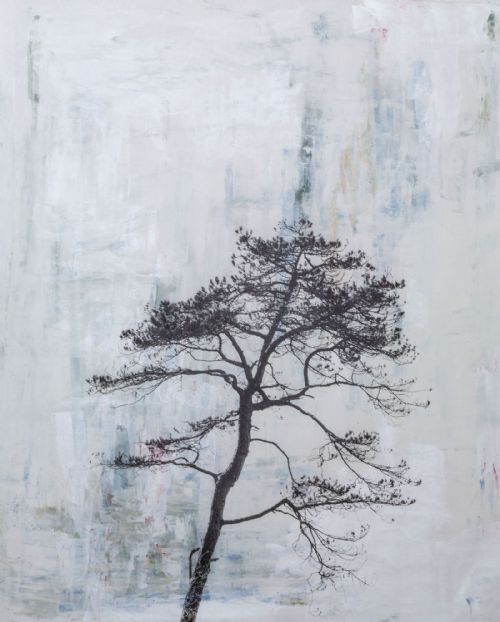 Deborah Schenck - Sunny Cove tree