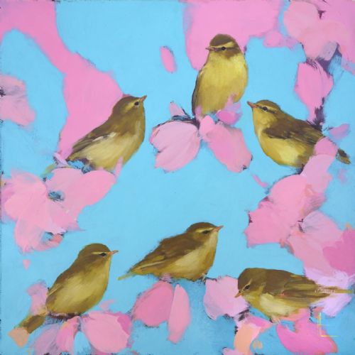 Warblers in pink and blue